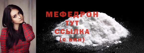 мдпв Гусев