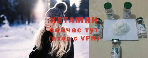 мдпв Гусев
