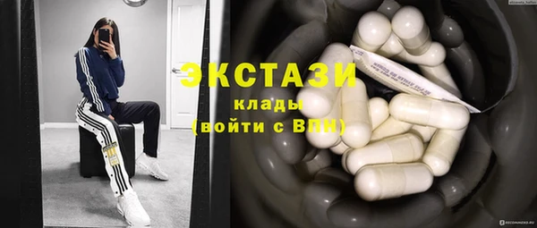 мдпв Гусев