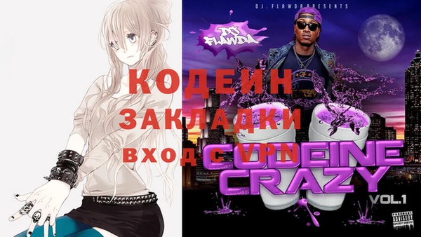 мдпв Гусев
