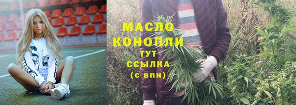 мдпв Гусев