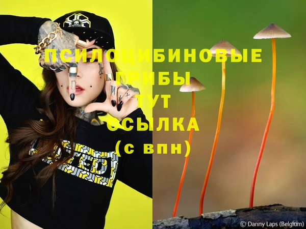 ALPHA-PVP Гусиноозёрск