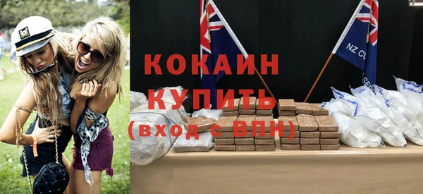 мдпв Гусев