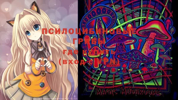 мдпв Гусев