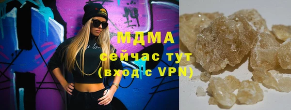 мдпв Гусев